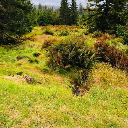 Sumava Apartamento *
