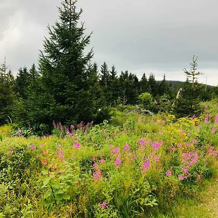 Sumava Apartamento *