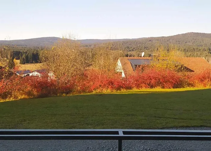Sumava *
