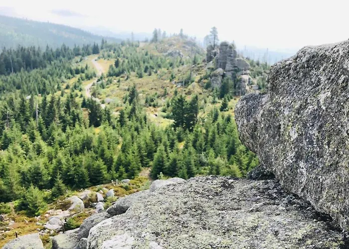 Sumava