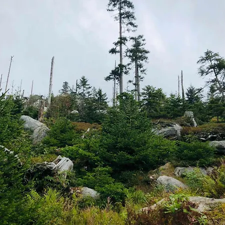 Sumava Haidmuhle